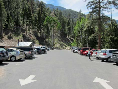 Cathedral Rock Trailhead