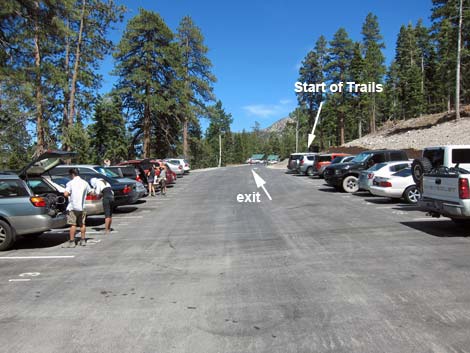 Cathedral Rock Trailhead