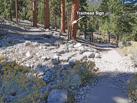 Cathedral Rock Trailhead