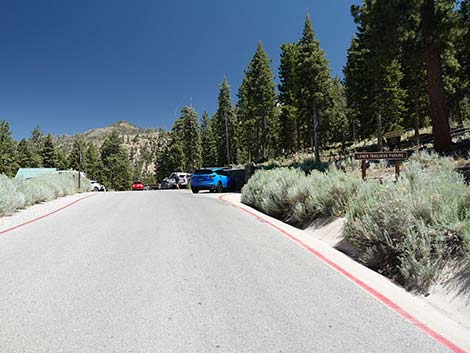 Cathedral Rock Trailhead