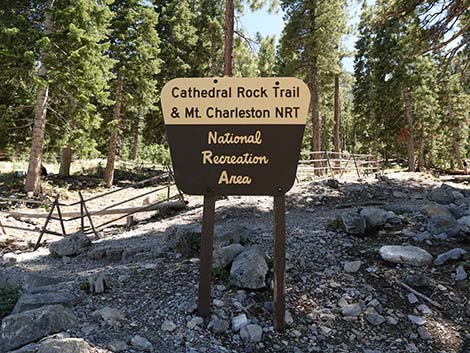 Cathedral Rock Trailhead