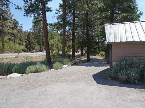 Fletcher Canyon Trailhead