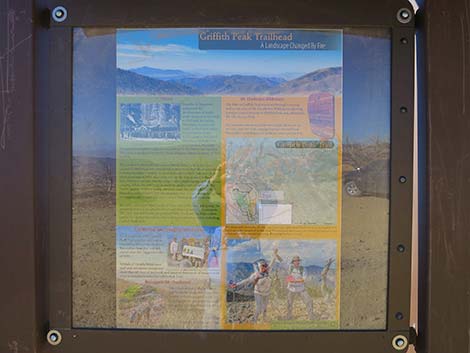 Griffith Peak Trailhead