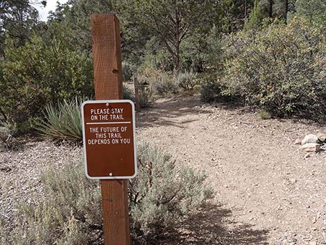 Lovell Canyon Trailhead