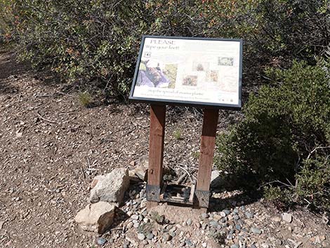 Lovell Canyon Trailhead