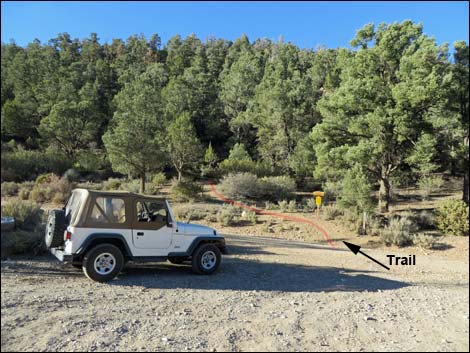 Lovell Canyon Trail