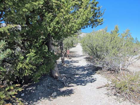 North Loop Trailhead