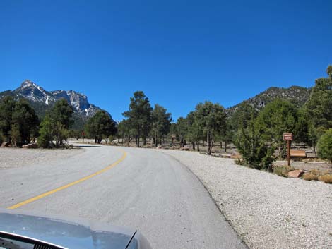 Sawmill Trailhead