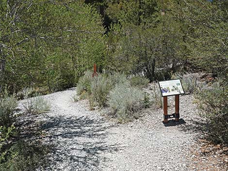 Trail Canyon Trailhead