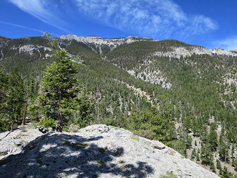 Wildhorse Loop Trail