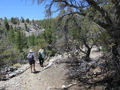 Wildhorse Loop Trail