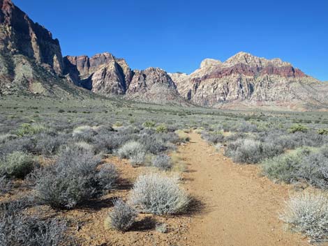 Arnight Trail