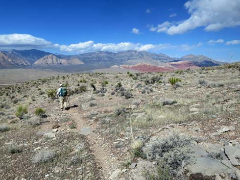 Second Finger Trail