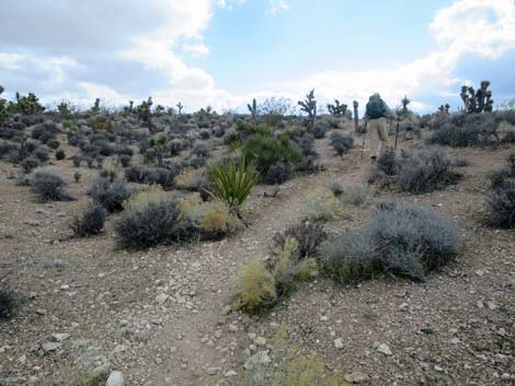 Second Finger Trail