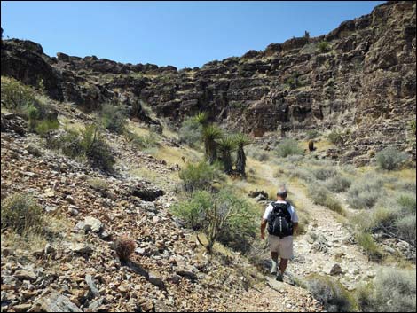 Fossil Canyon