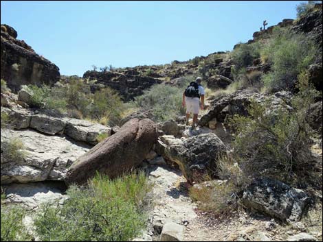 Fossil Canyon Loop