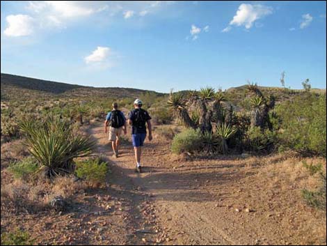 Fossil Trail