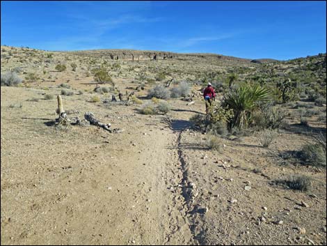 Fossil Trail