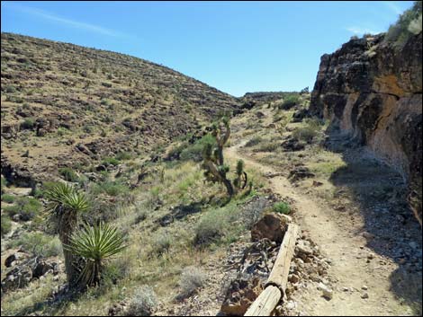 Fossil Trail