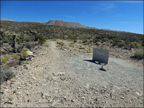 Jeep Trail