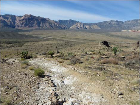 Rock Garden Trail