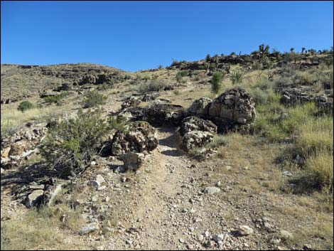 Rock Garden Trail