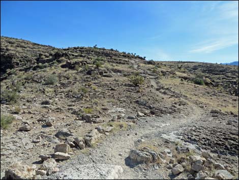 Rock Garden Trail