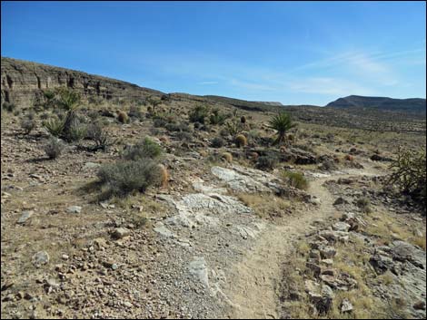 Rock Garden Trail