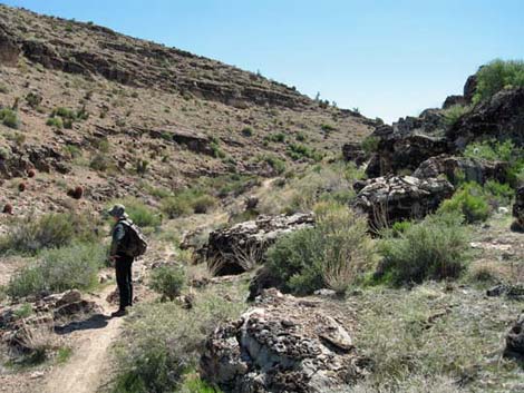 To-The-Top Trail