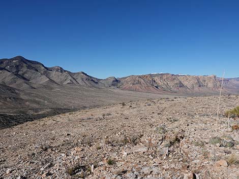 Birdspring Peak