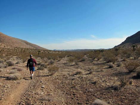 Ridgeline Loop Trail