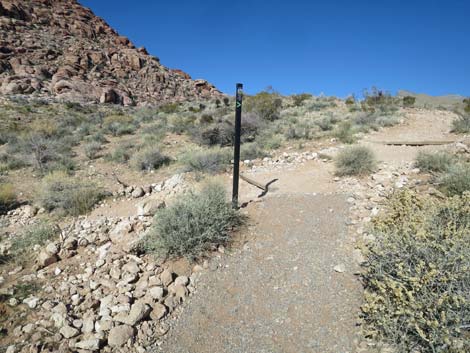 Calico Basin Trail