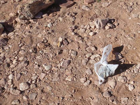 Calico Basin Trail