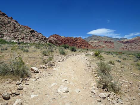 Calico Basin Trail