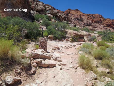 Calico Basin Trail