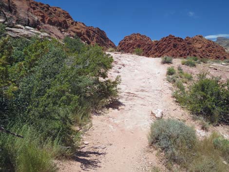 Calico Basin Trail