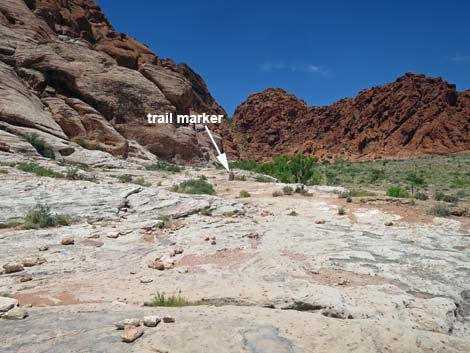 Calico Basin Trail