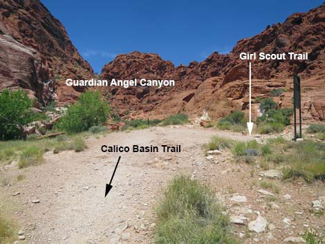 Calico Basin Trail