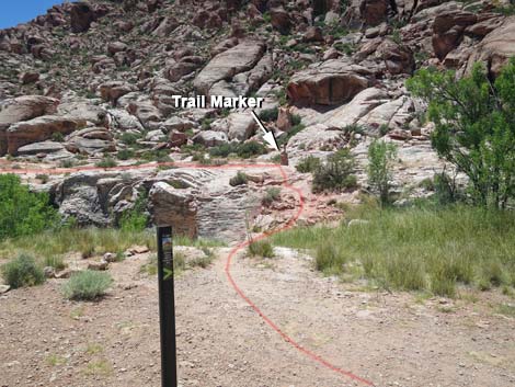 Calico Basin Trail