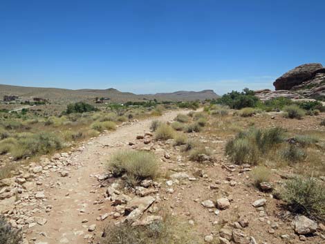 Calico Basin Trail