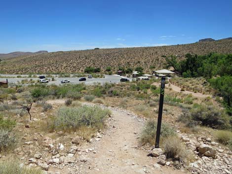 Calico Basin Trail