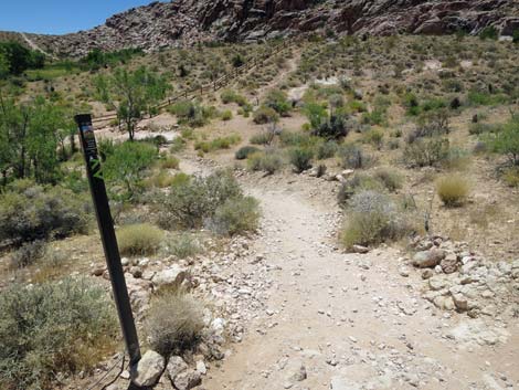 Calico Basin Trail