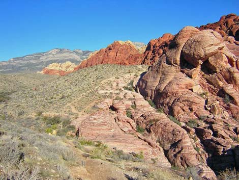 Calico Hills Trail