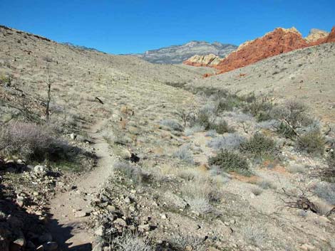 calico hills trail