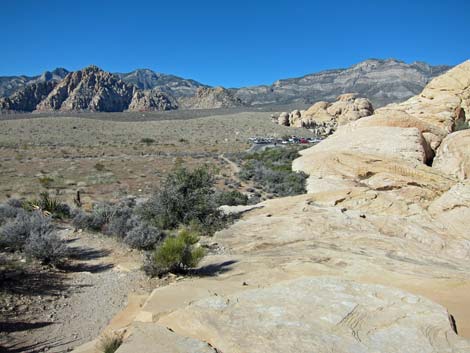 Calico Hills Loop Trail