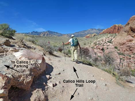 Grand Circle Loop Trail