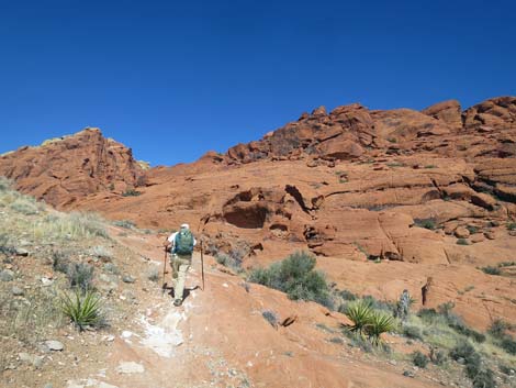 Grand Circle Loop Trail