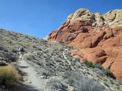 Calico Hills Loop Trail