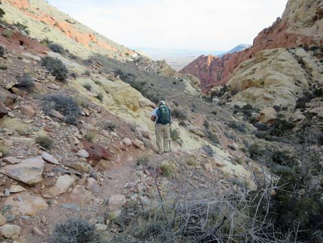 Calico Hills Loop Trail