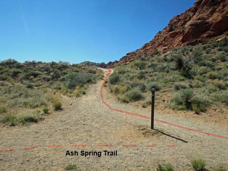 Calico Hills Loop